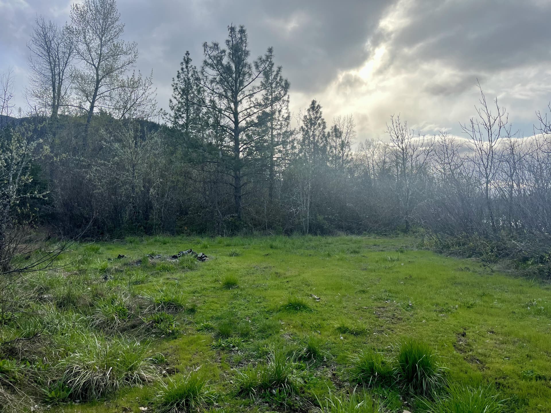 IMG_4500. Photo 4 of 19, Lake Shore Drive, Selma, OR 97538