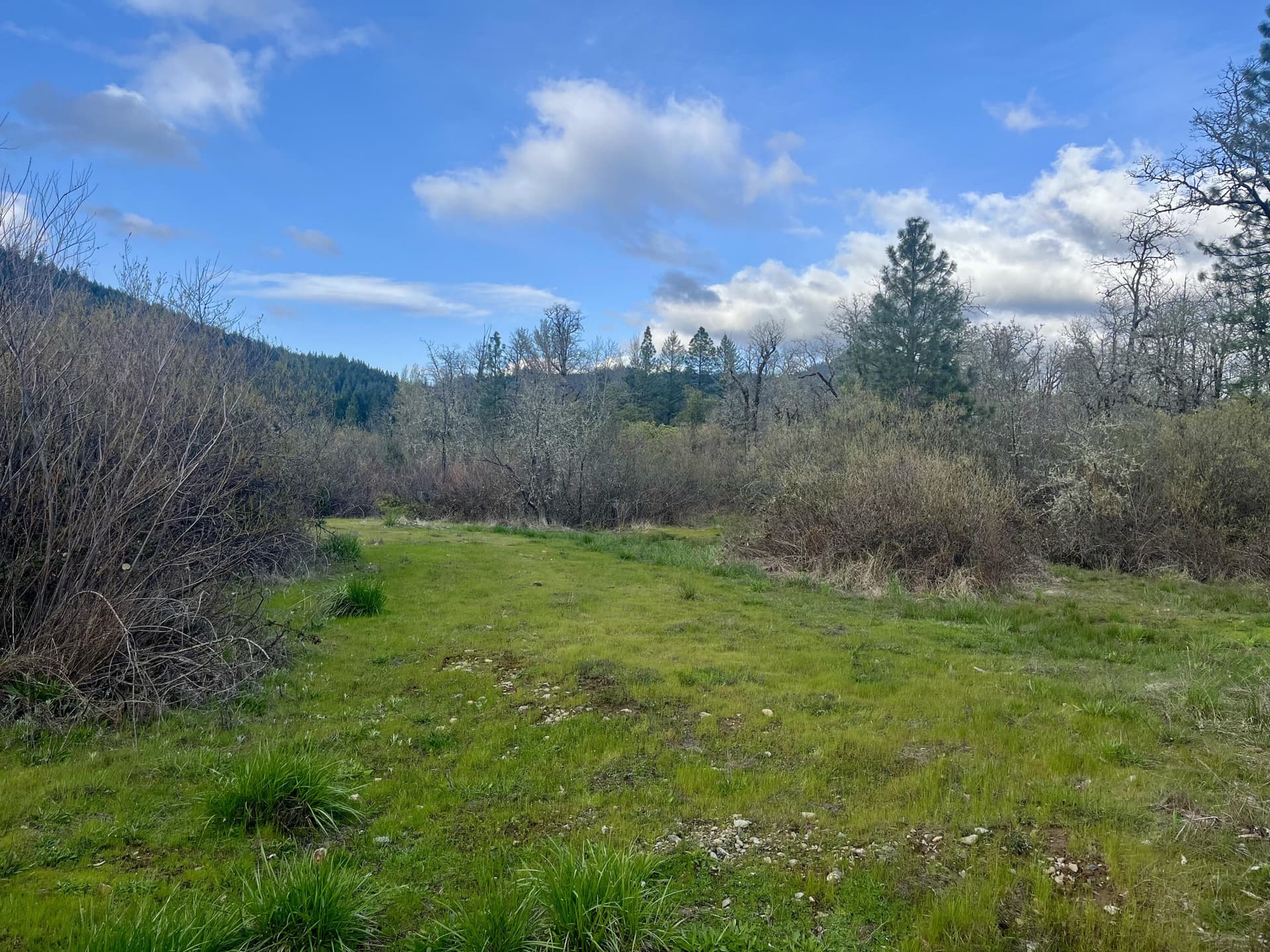 IMG_4502. Photo 5 of 19, Lake Shore Drive, Selma, OR 97538