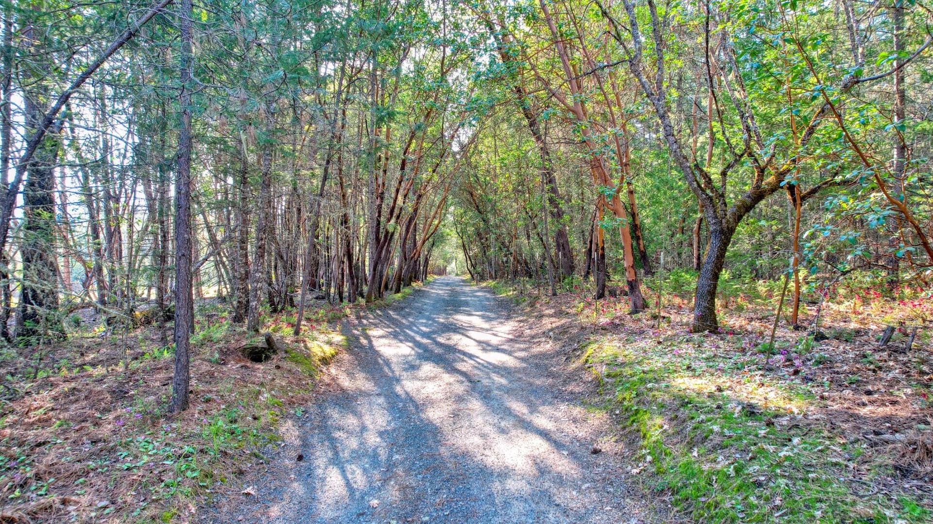858-Missouri-Flat-Road_0084. Photo 2 of 39, 858 Missouri Flat Road, Grants Pass, OR 97527