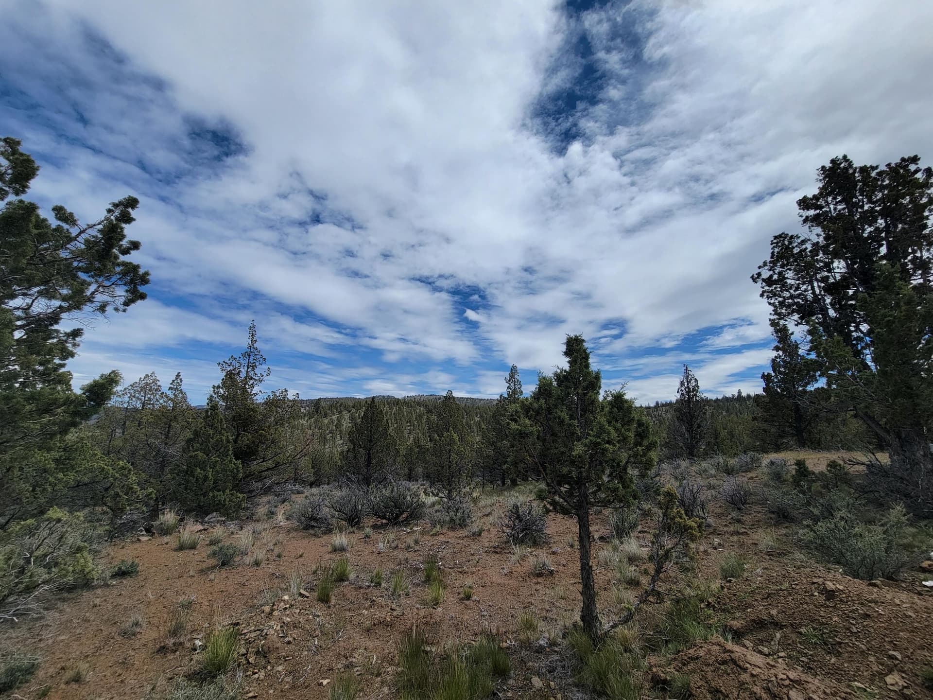 Clearings 02. Photo 2 of 26, 01500 SE Osprey Road Unit 62, Prineville, OR 97754