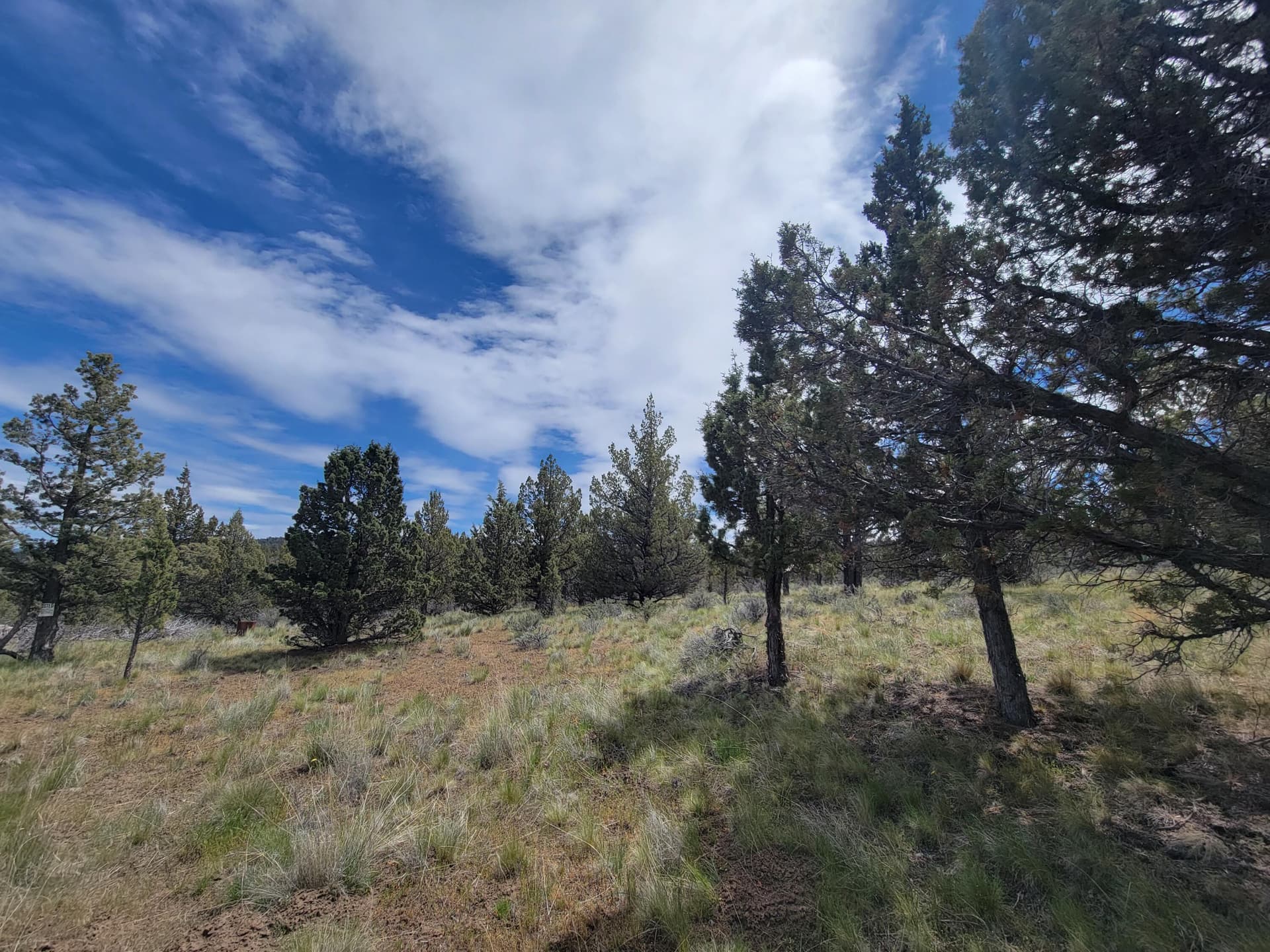 Clearings 03. Photo 3 of 26, 01500 SE Osprey Road Unit 62, Prineville, OR 97754
