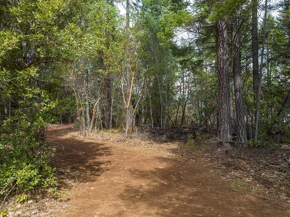 DJI_0277 a. Photo 3 of 17, 234 Lurline Lane, Cave Junction, OR 97523