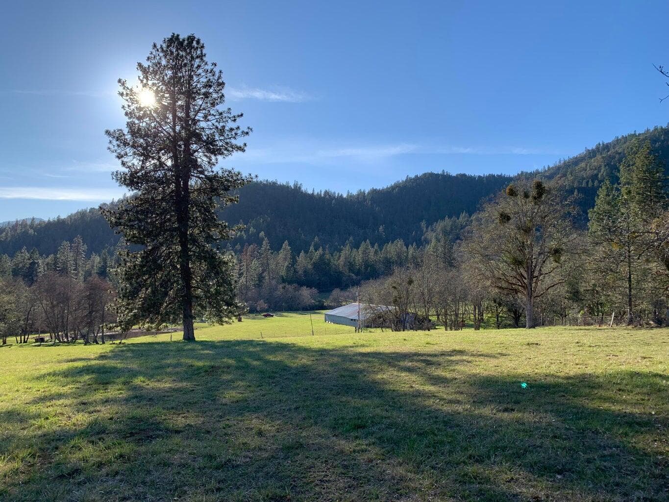 pic6. Photo 1 of 39, 858 Missouri Flat Road, Grants Pass, OR 97527