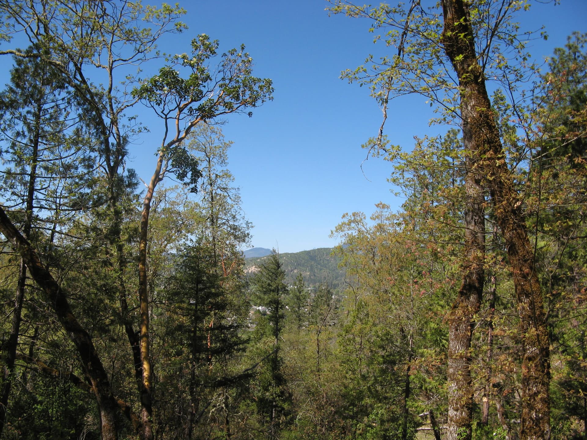 IMG_0784. Photo 4 of 21, Bushnell Way Unit 412, Grants Pass, OR 97527