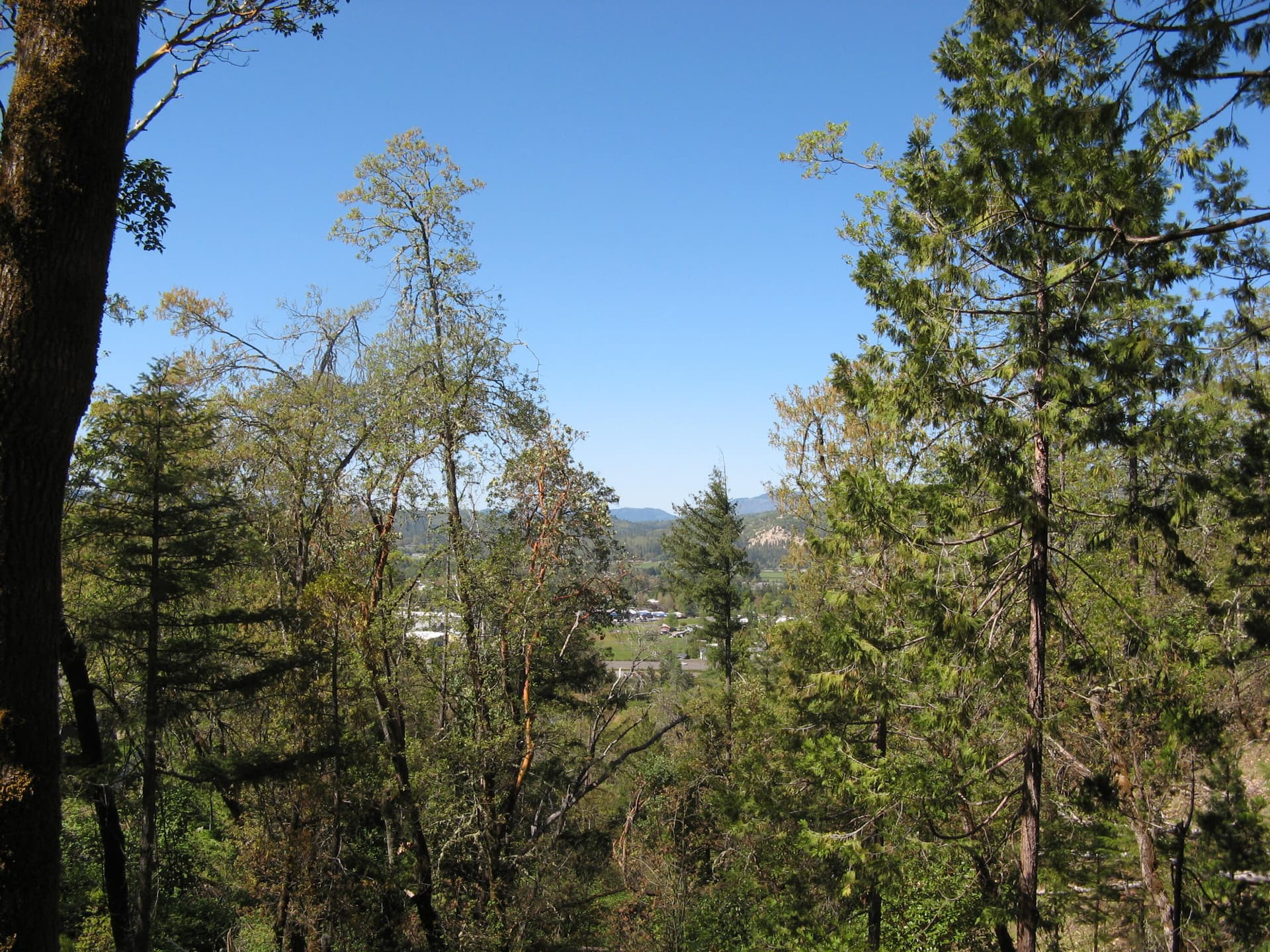 IMG_0787. Photo 1 of 21, Bushnell Way Unit 412, Grants Pass, OR 97527
