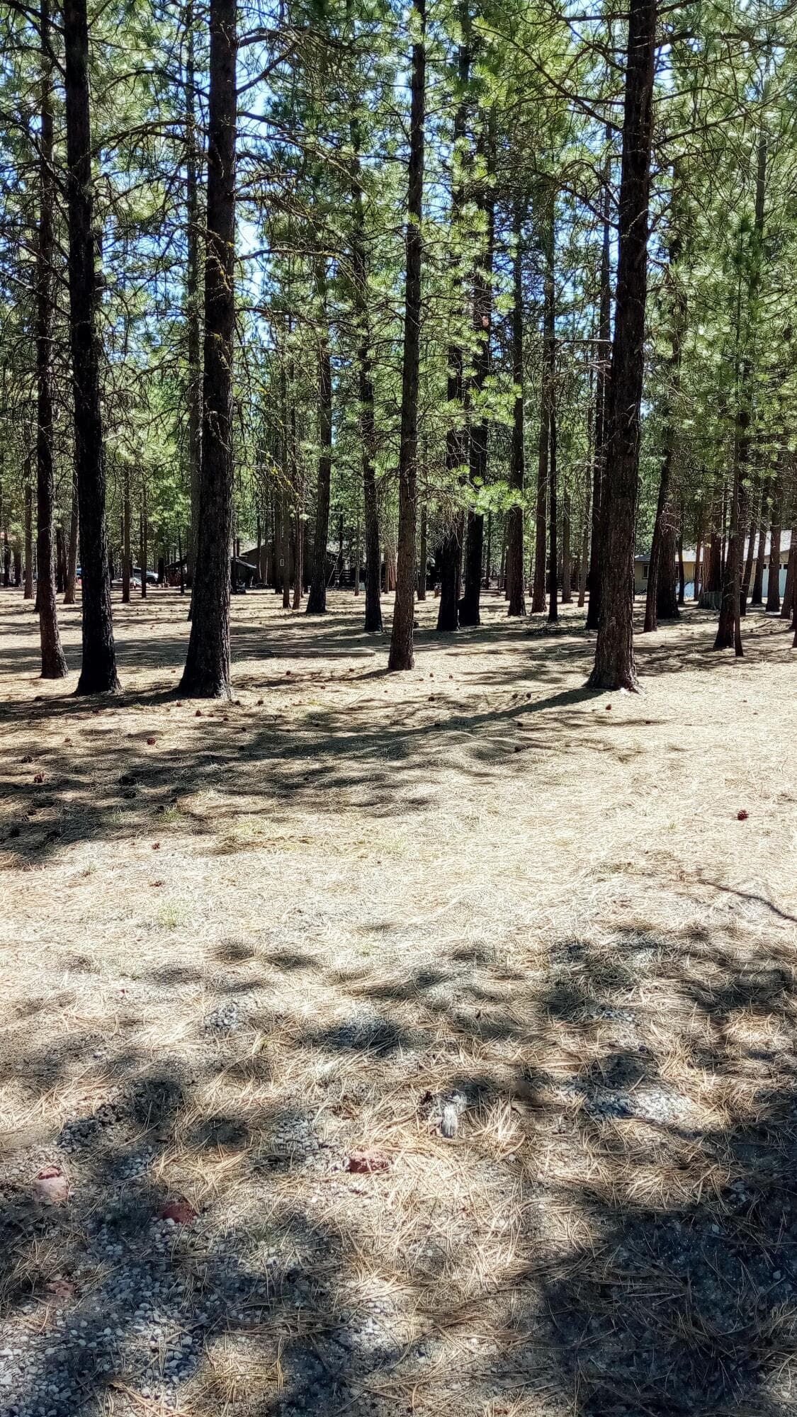IMG_20250421_131514. Photo 2 of 11, 52170 Ponderosa Way, La Pine, OR 97739