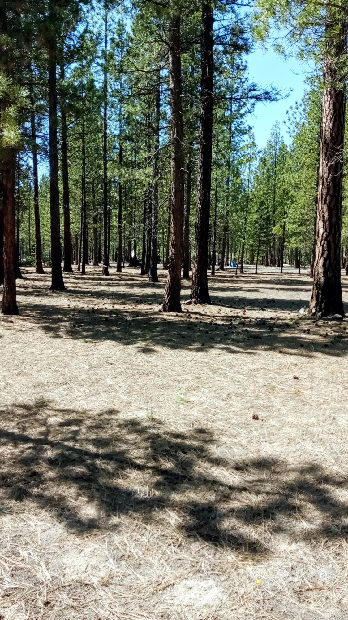 IMG_20250421_131620. Photo 5 of 11, 52170 Ponderosa Way, La Pine, OR 97739