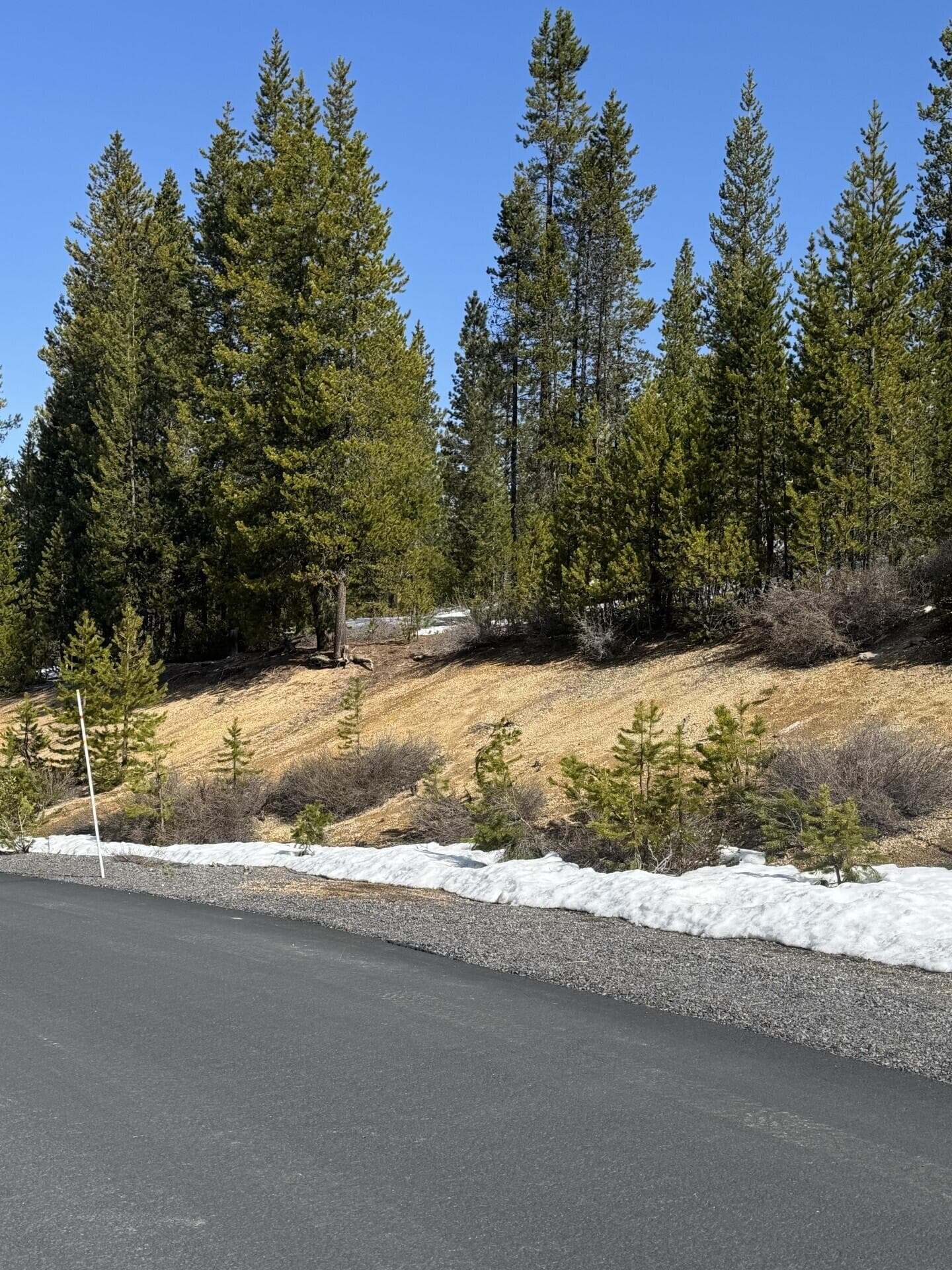 Street view 2. Photo 3 of 6, Crescent Moon Drive Unit 13, Crescent Lake, OR 97733