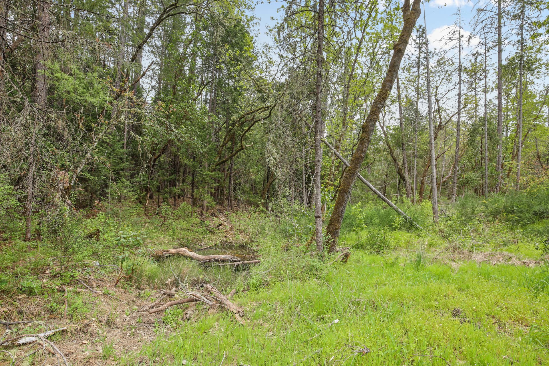 CU9A1801. Photo 4 of 34, Redwood Highway, Grants Pass, OR 97527