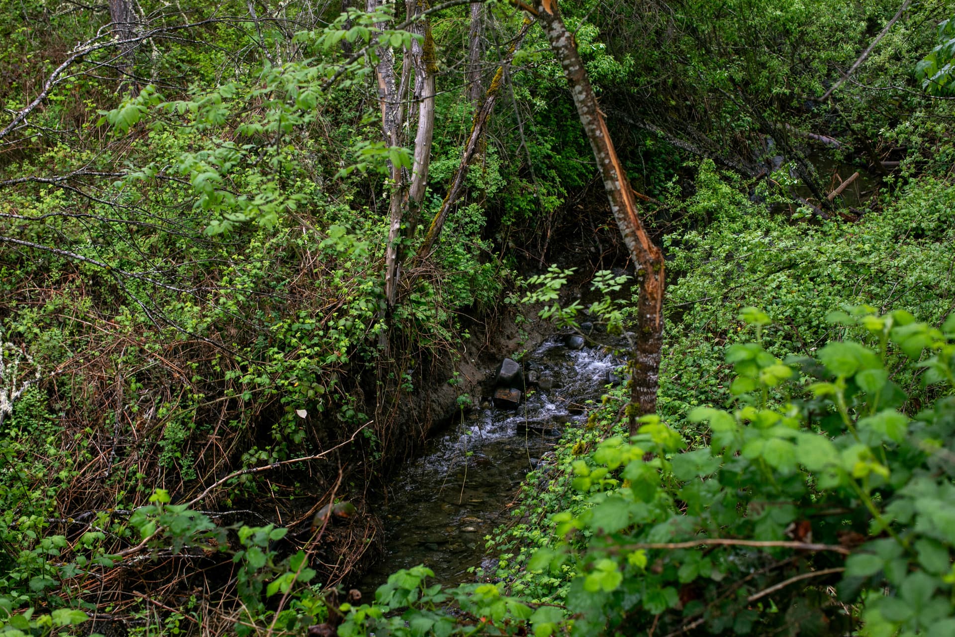 6D1A9757-HDR. Photo 2 of 15, 2661 Wards Creek Road, Rogue River, OR 97537