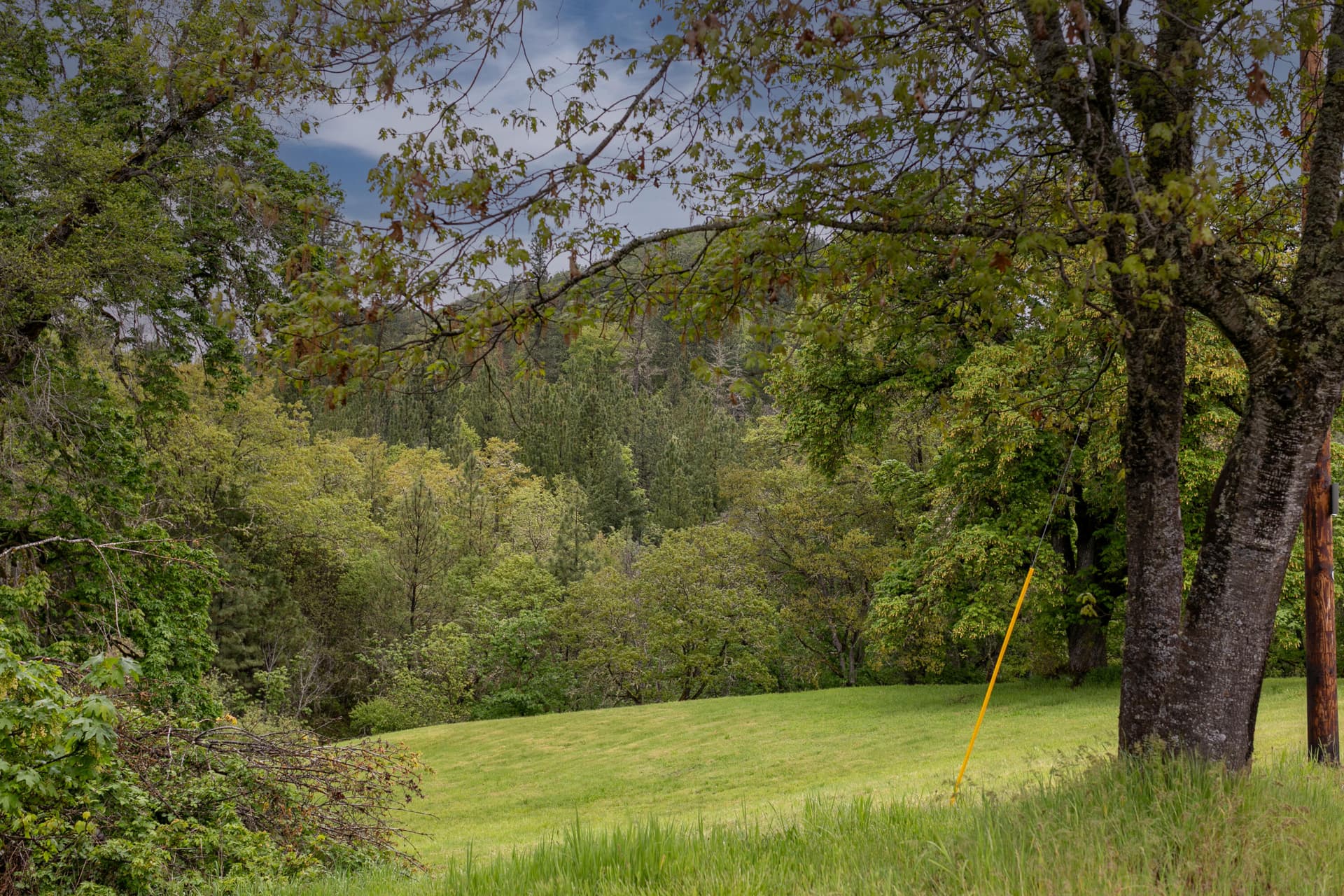 6D1A9765. Photo 4 of 15, 2661 Wards Creek Road, Rogue River, OR 97537