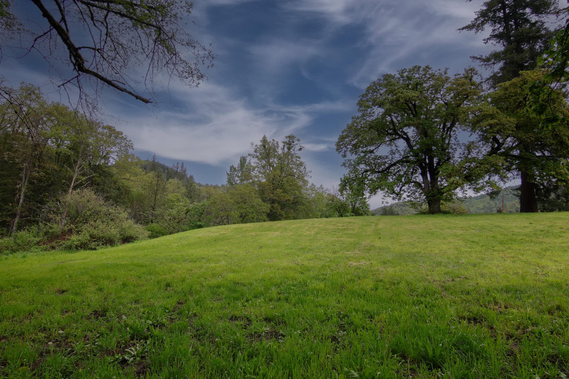 IMG_9669. Photo 1 of 15, 2661 Wards Creek Road, Rogue River, OR 97537
