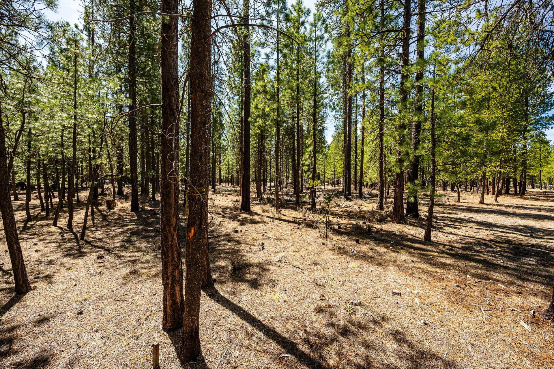 2. Photo 3 of 18, 51861 Knobcone, La Pine, OR 97739