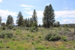 IMG_2552. Photo 1 of 13, Deer Springs Road, Beatty, OR 97621