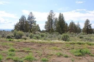 IMG_2558. Photo 5 of 13, Deer Springs Road, Beatty, OR 97621