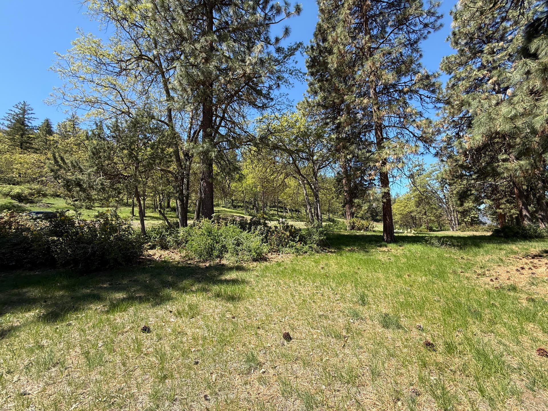 Lot 875. Photo 3 of 24, Coopers Hawk Road Unit Lot 875, Klamath Falls, OR 97601