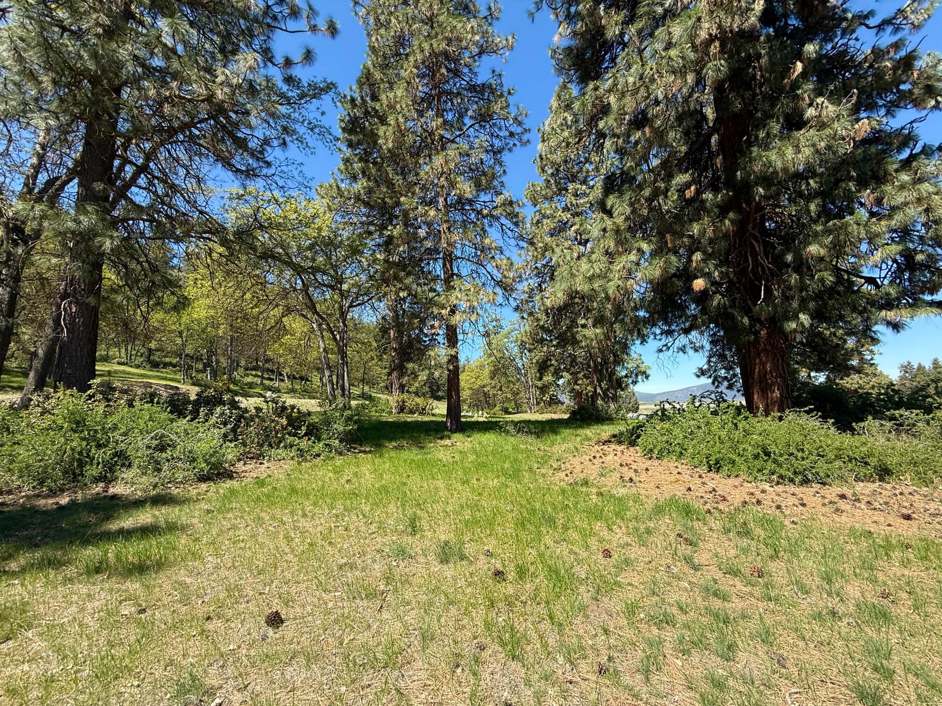 Lot 875. Photo 4 of 24, Coopers Hawk Road Unit Lot 875, Klamath Falls, OR 97601