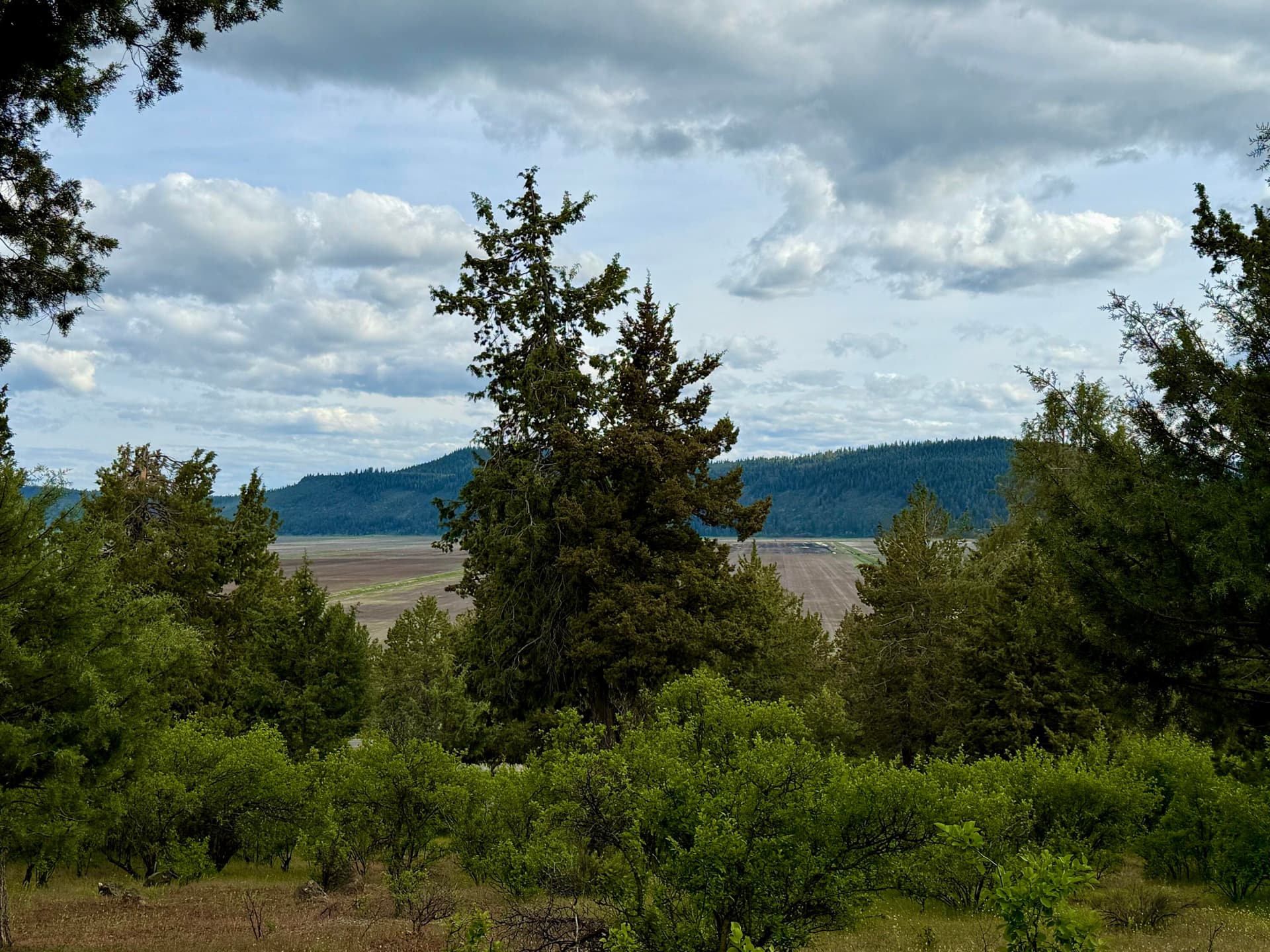 Lot 1064. Photo 1 of 40, Turnstone Drive Unit Lot 1064, Klamath Falls, OR 97601