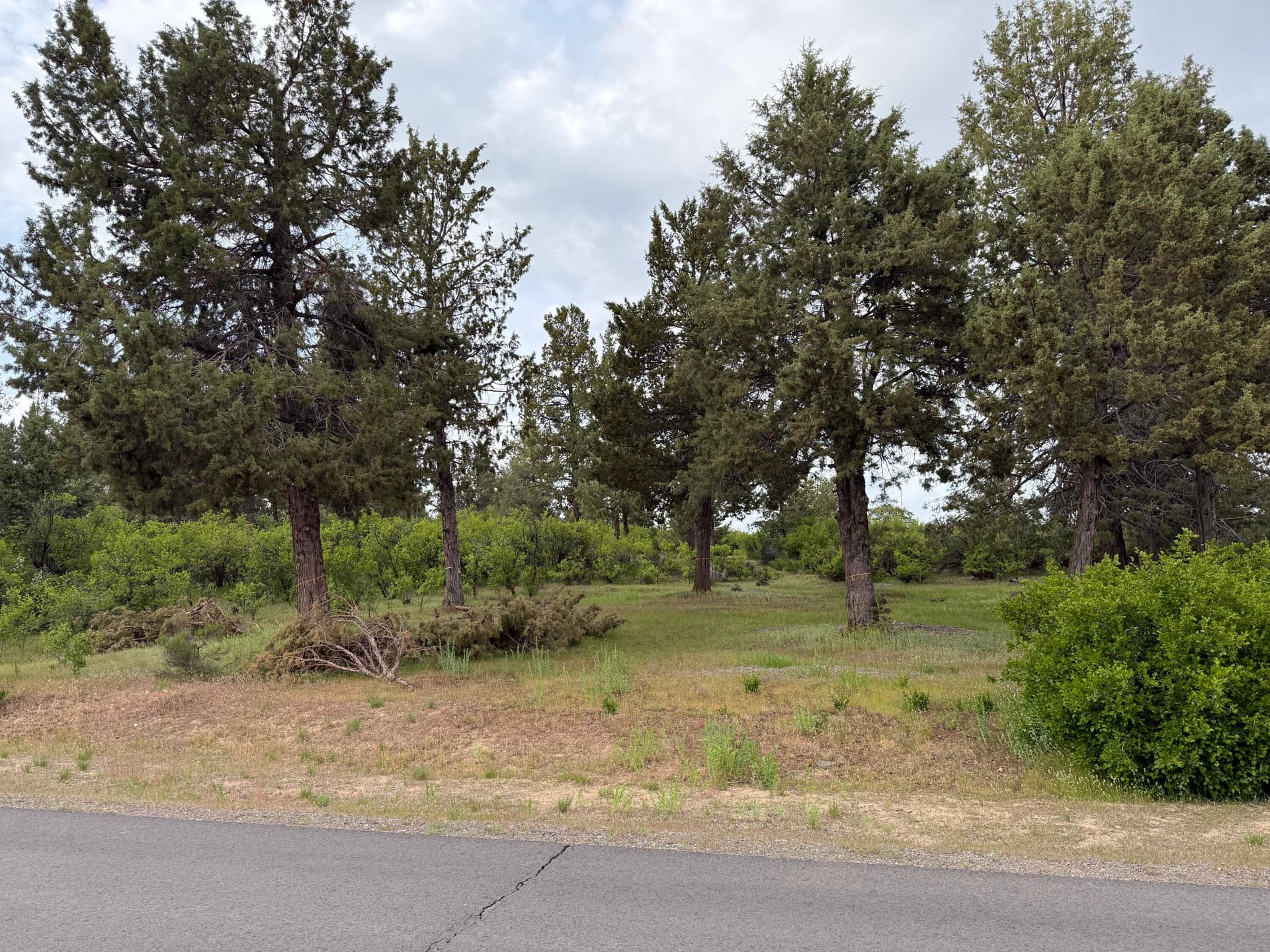 Lot 1064. Photo 5 of 40, Turnstone Drive Unit Lot 1064, Klamath Falls, OR 97601