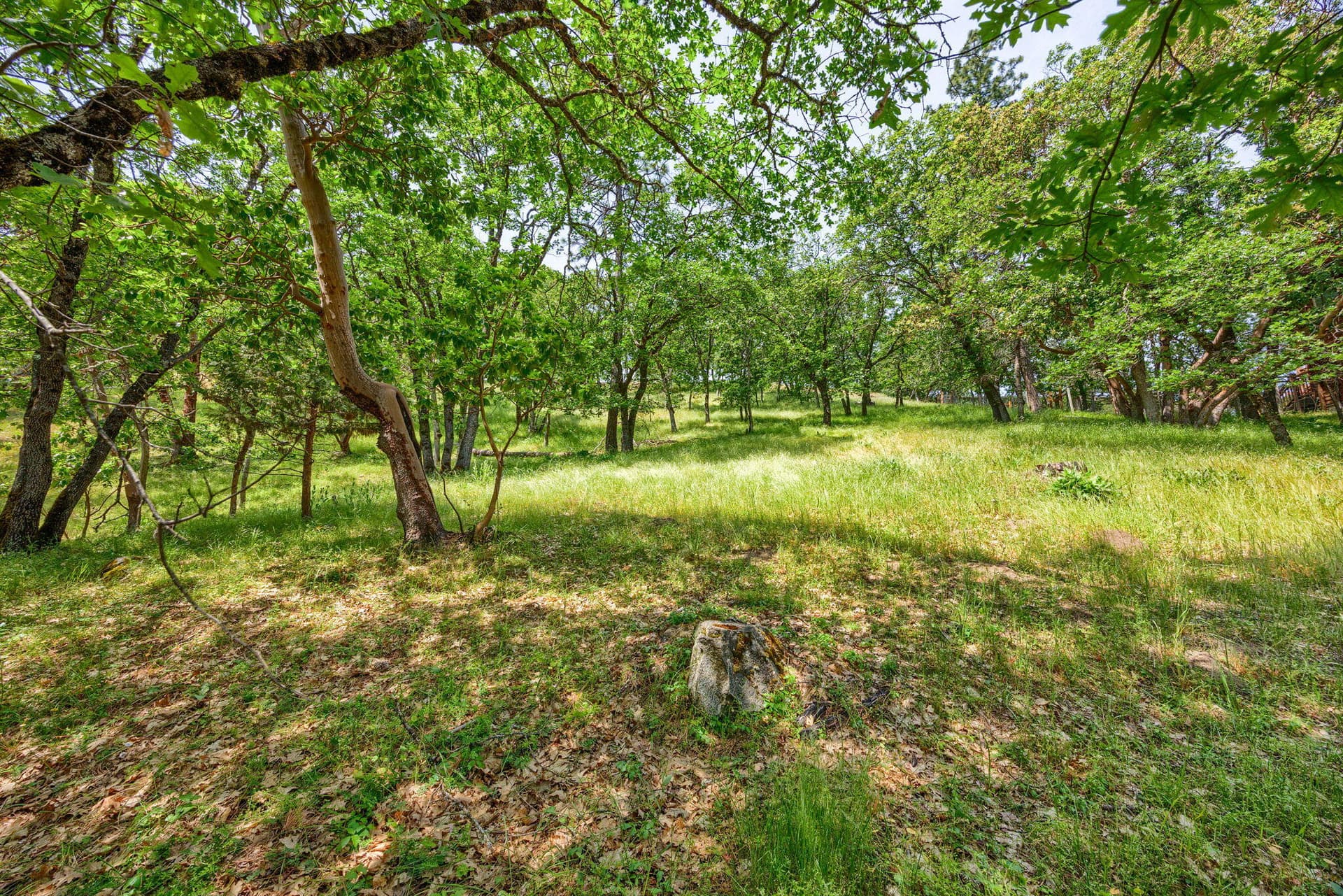 ApxSL (5). Photo 5 of 19, 390 Strawberry Lane, Ashland, OR 97520