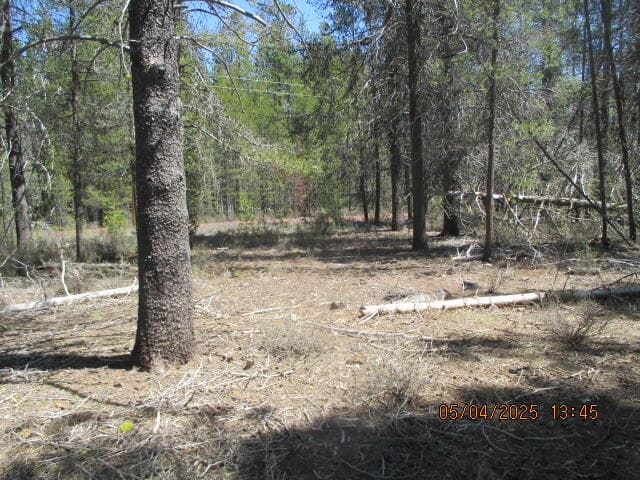 IMG_9217. Photo 1 of 10, 0 Cloudcap Drive Unit 19 & 20, Chiloquin, OR 97624
