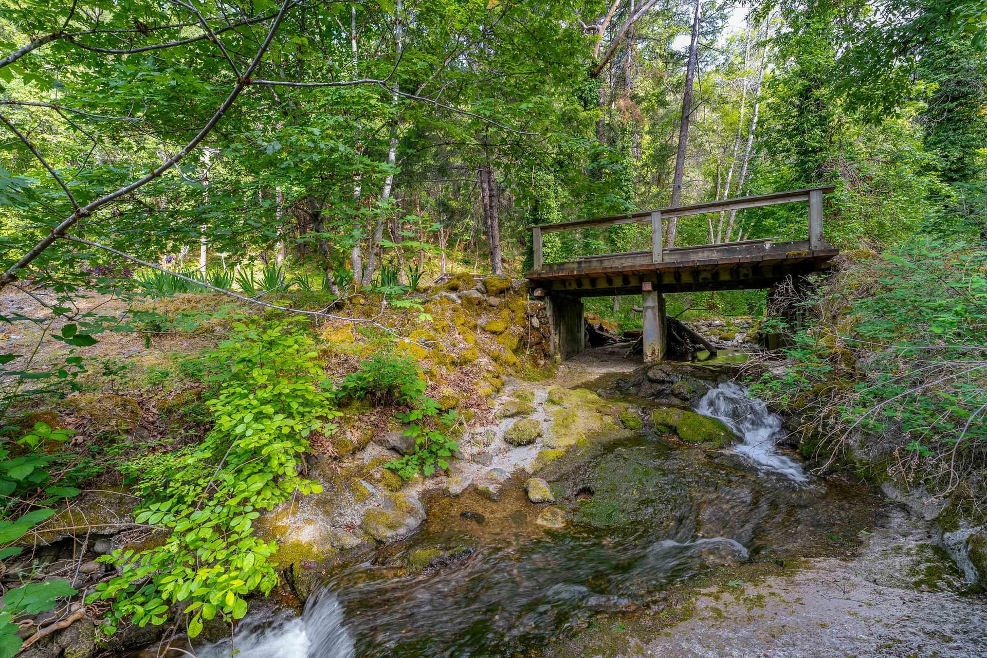 EXT (17 of 21). Photo 3 of 58, 988 Savage Creek Road, Grants Pass, OR 97527