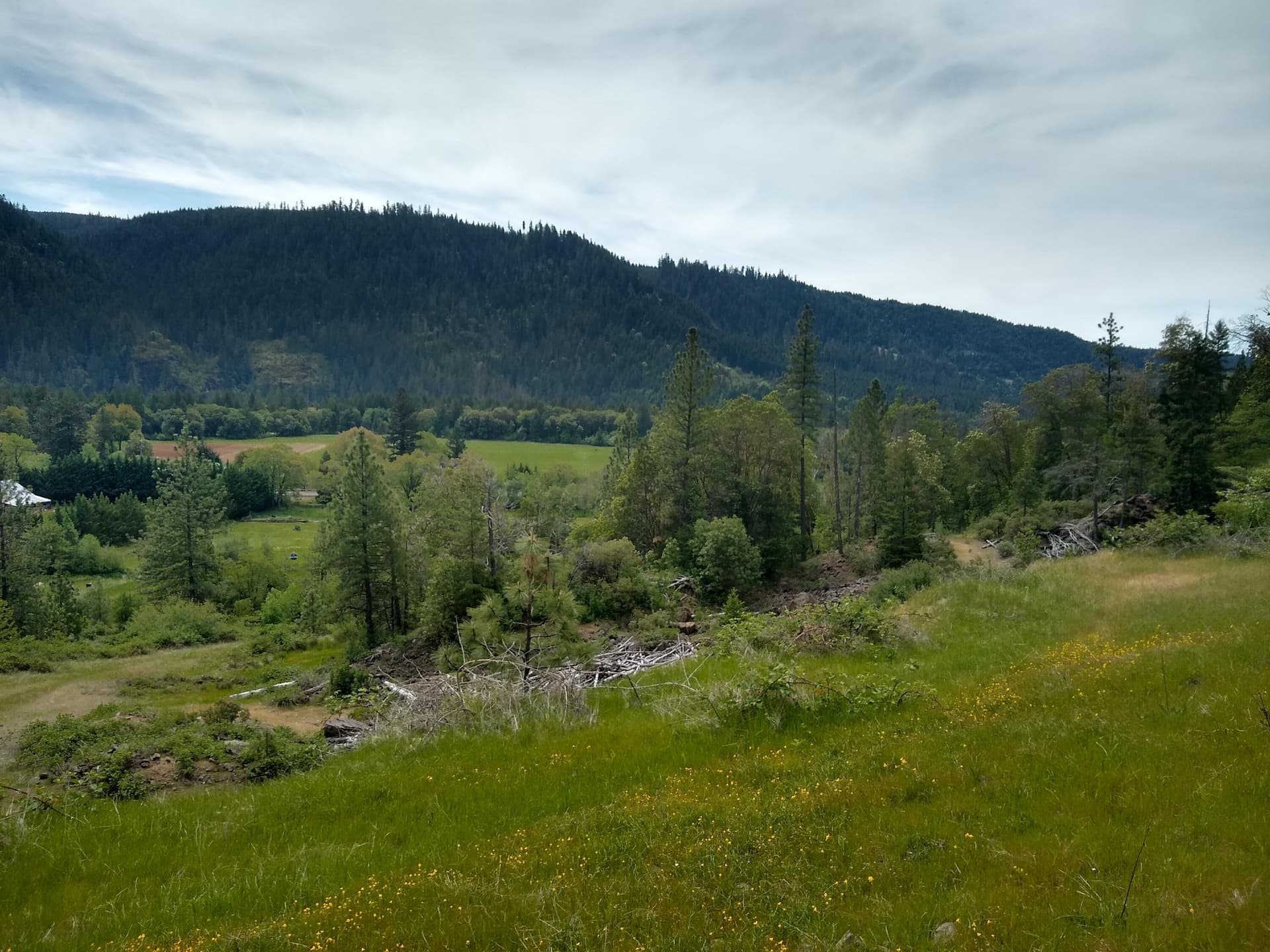 01. Photo 1 of 43, 0 Map&Taxlot 332E09 600, Hwy 62, Prospect, OR 97536