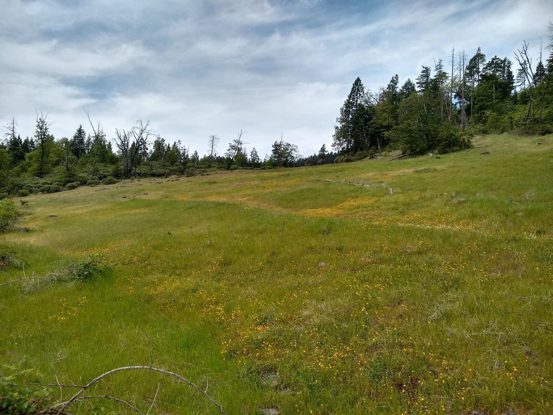 02. Photo 2 of 43, 0 Map&Taxlot 332E09 600, Hwy 62, Prospect, OR 97536