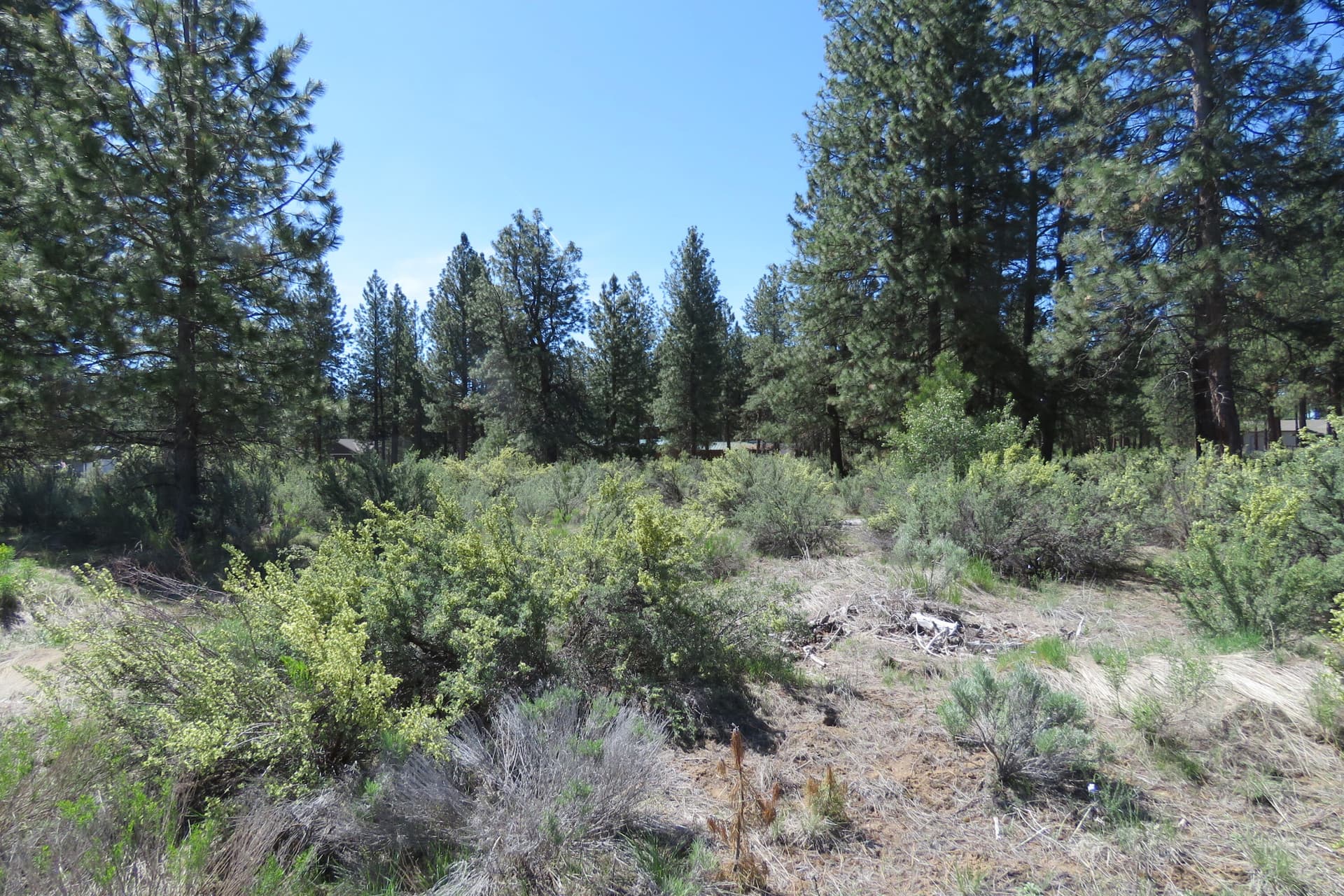 IMG_4563. Photo 4 of 12, Castle Dr Lot 10, Chiloquin, OR 97624