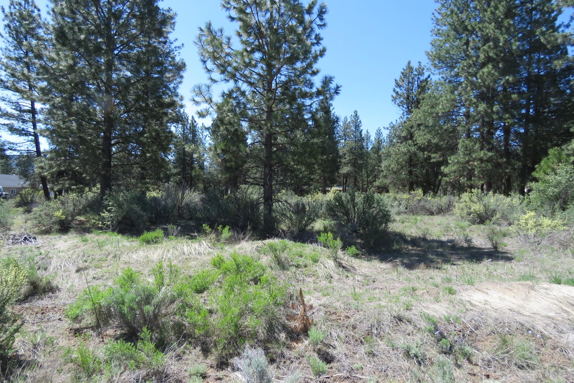 IMG_4564. Photo 5 of 12, Castle Dr Lot 10, Chiloquin, OR 97624