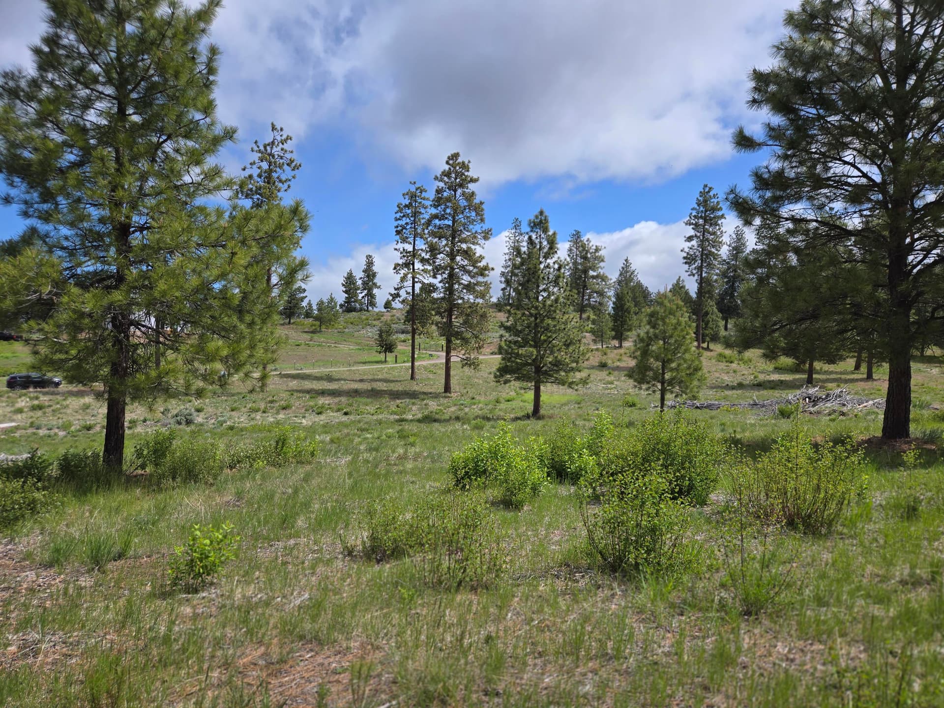 Listing Photo. Photo 1 of 13, Ranch Road Unit Lot 17, Chiloquin, OR 97624