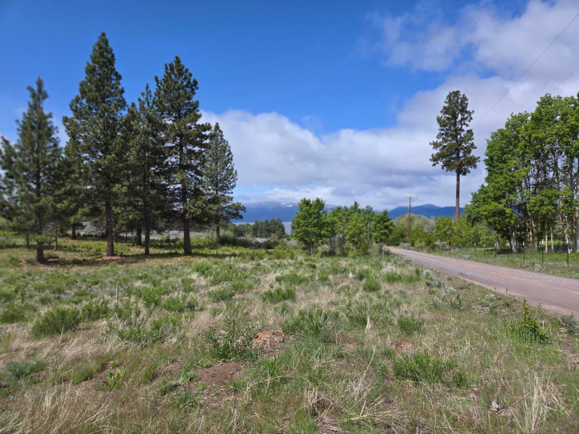 Lot. Photo 4 of 13, Ranch Road Unit Lot 17, Chiloquin, OR 97624