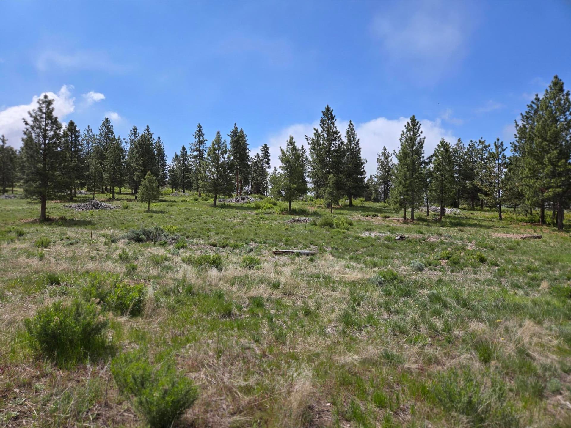 Lot. Photo 5 of 13, Ranch Road Unit Lot 17, Chiloquin, OR 97624