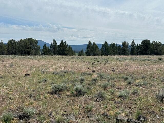 Listing Photo. Photo 1 of 6, Rim Drive, Sprague River, OR 97639