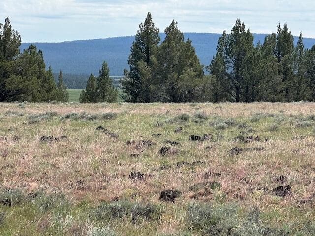 IMG_8409. Photo 2 of 6, Rim Drive, Sprague River, OR 97639
