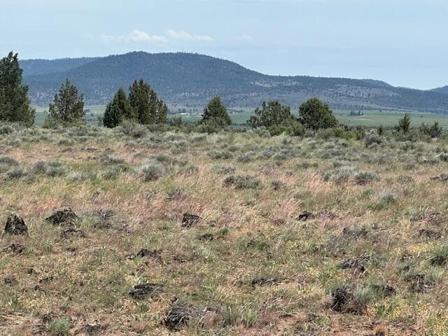 IMG_8411. Photo 4 of 6, Rim Drive, Sprague River, OR 97639