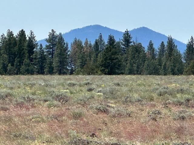 IMG_8412. Photo 5 of 6, Rim Drive, Sprague River, OR 97639