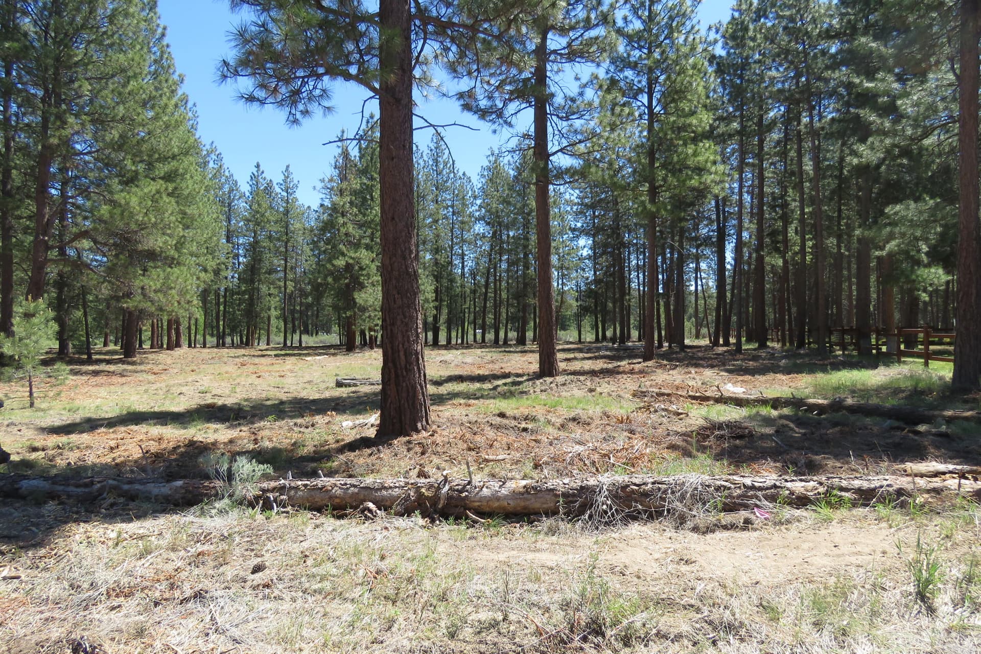 IMG_4594. Photo 2 of 26, 7 Castle Drive, Chiloquin, OR 97624