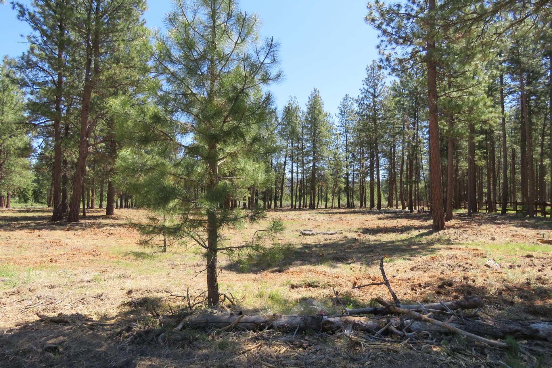 IMG_4595. Photo 3 of 26, 7 Castle Drive, Chiloquin, OR 97624