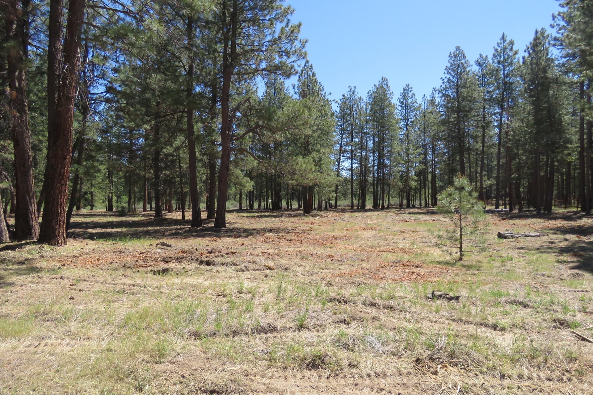 IMG_4596. Photo 4 of 26, 7 Castle Drive, Chiloquin, OR 97624