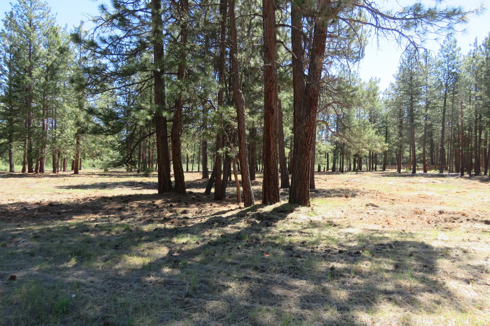 IMG_4597. Photo 5 of 26, 7 Castle Drive, Chiloquin, OR 97624