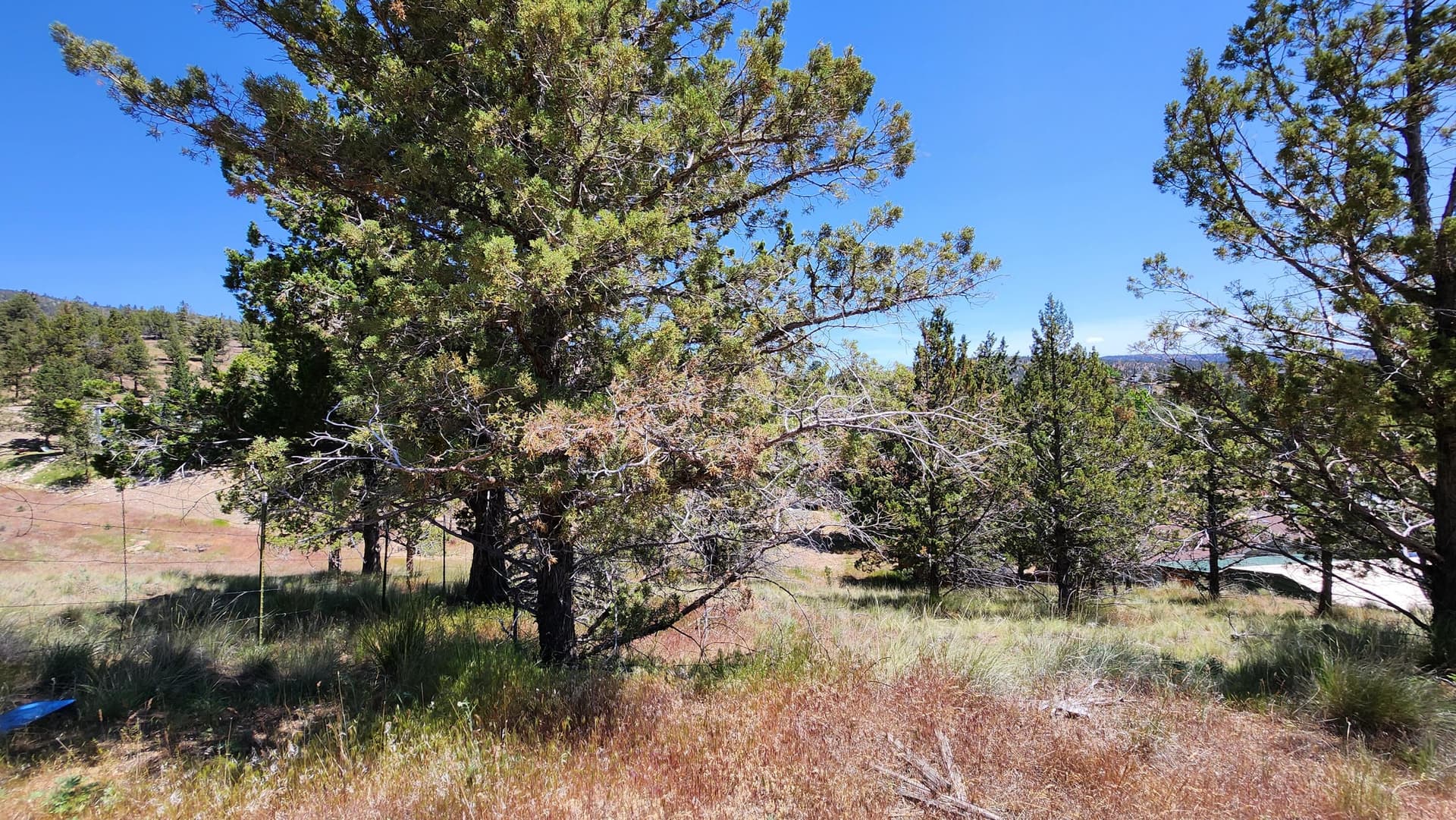 2. Photo 2 of 12, 11574 NW Nye Avenue, Prineville, OR 97754