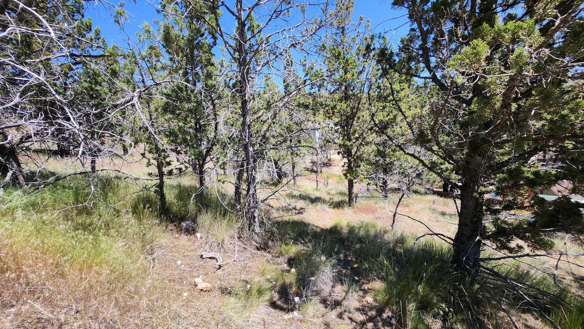 3. Photo 4 of 12, 11574 NW Nye Avenue, Prineville, OR 97754