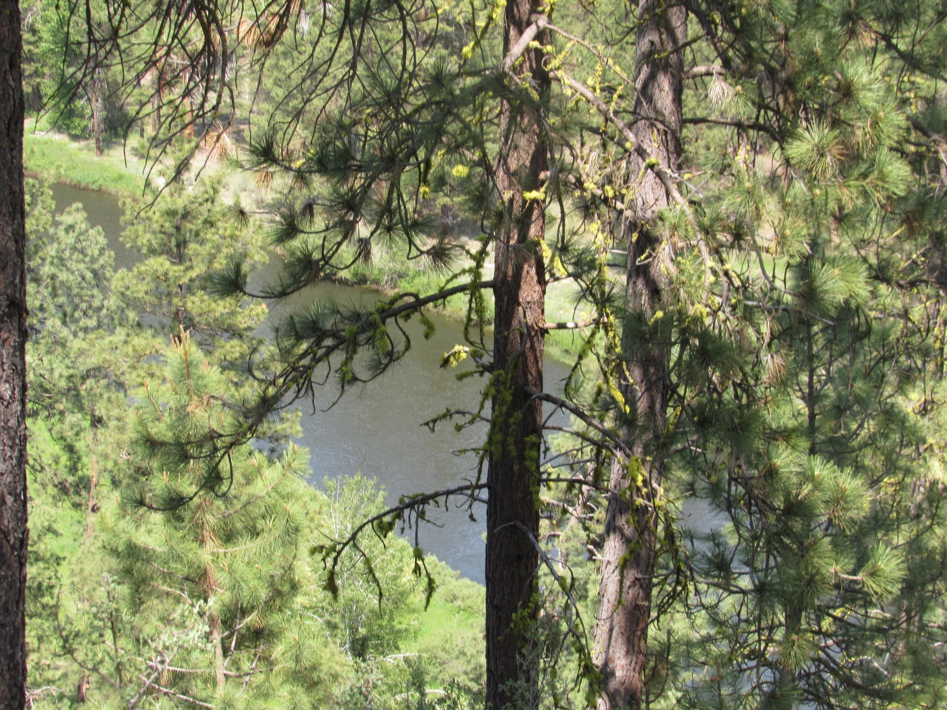 River view from the bluff. Photo 3 of 17, 39051 Twin River Drive, Chiloquin, OR 97624