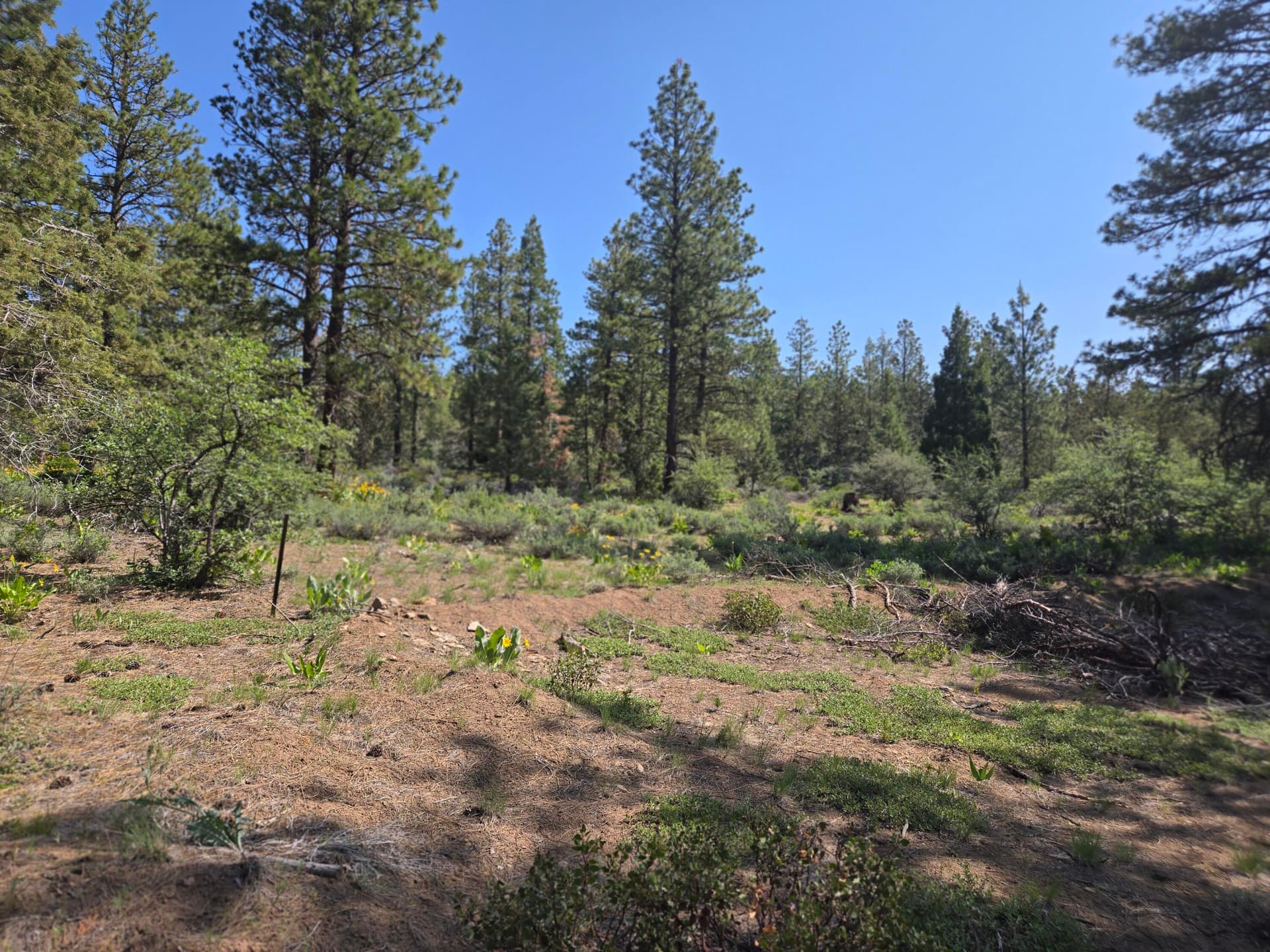 Main. Photo 1 of 16, Meadow Lark Drive Unit Lot 12, Bonanza, OR 97623