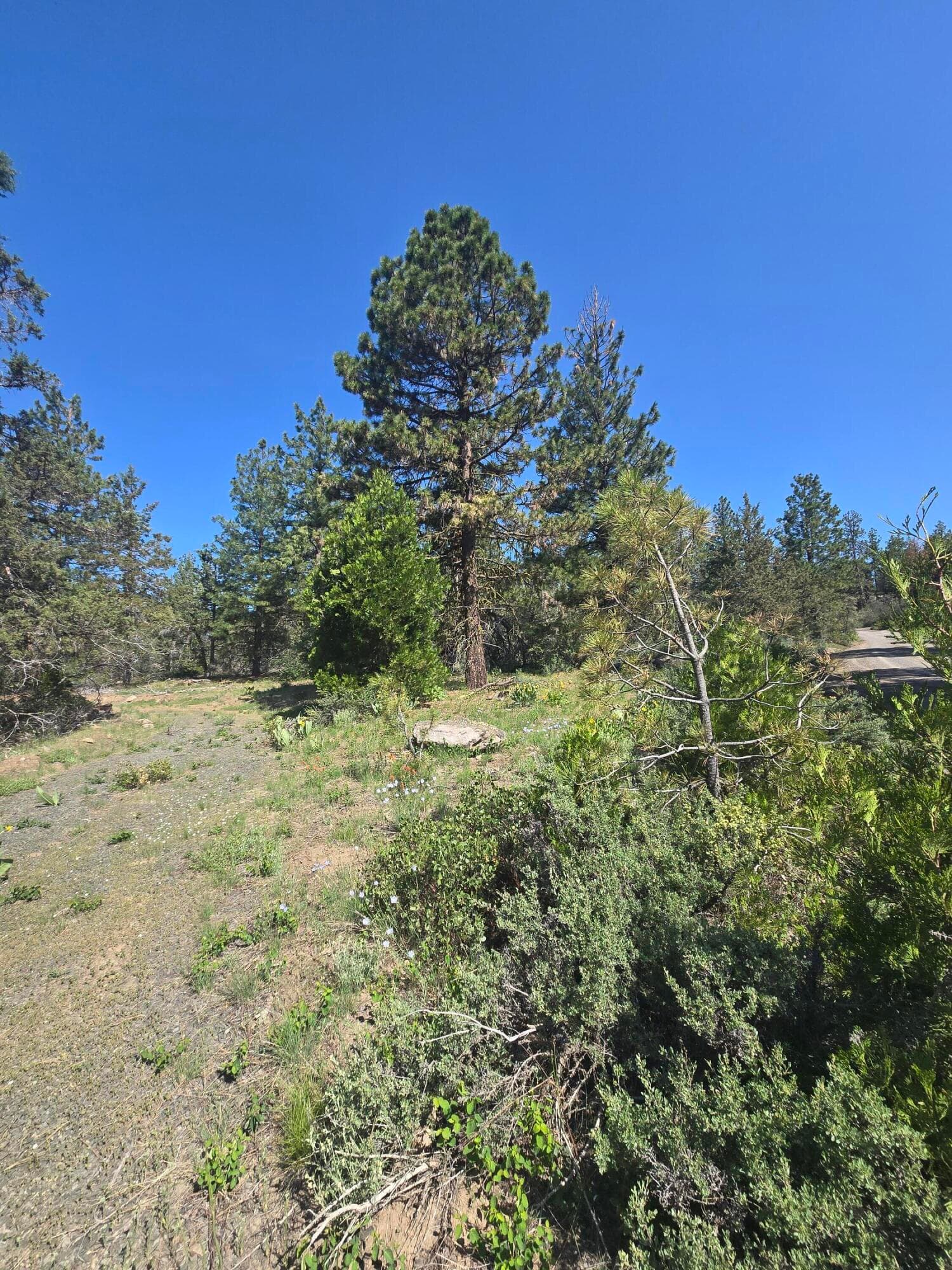 Lot. Photo 2 of 16, Meadow Lark Drive Unit Lot 12, Bonanza, OR 97623