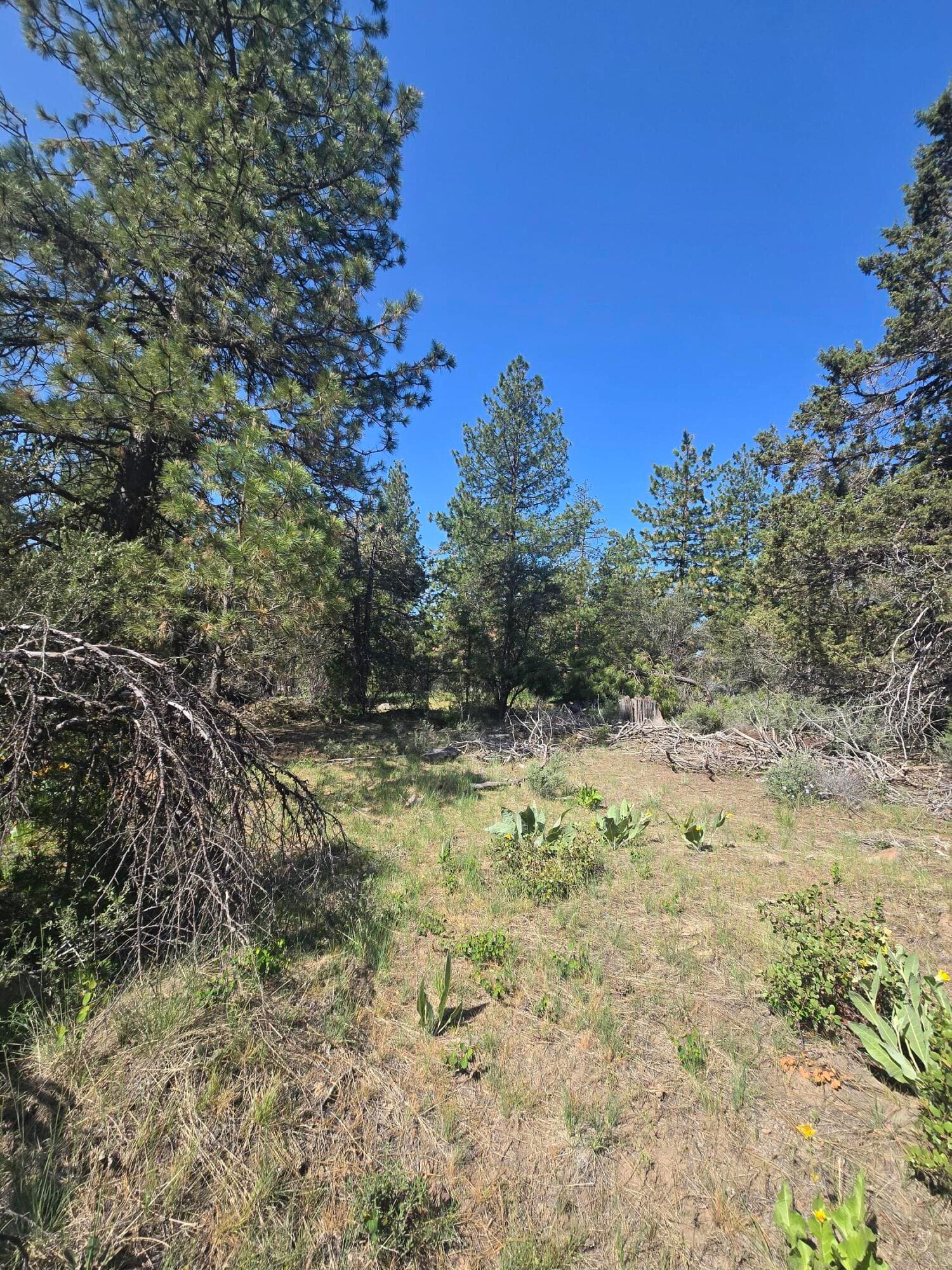 Lot. Photo 4 of 16, Meadow Lark Drive Unit Lot 12, Bonanza, OR 97623