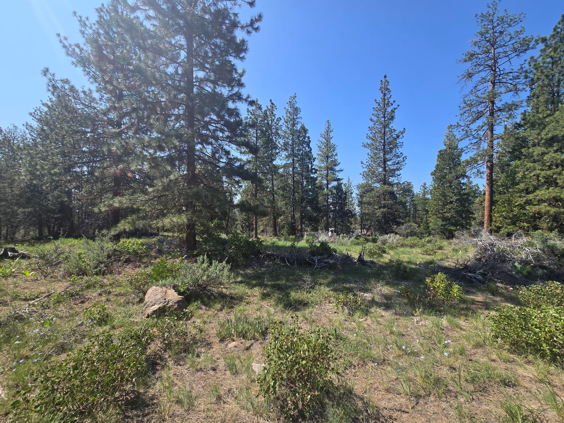 Lot. Photo 5 of 16, Meadow Lark Drive Unit Lot 12, Bonanza, OR 97623