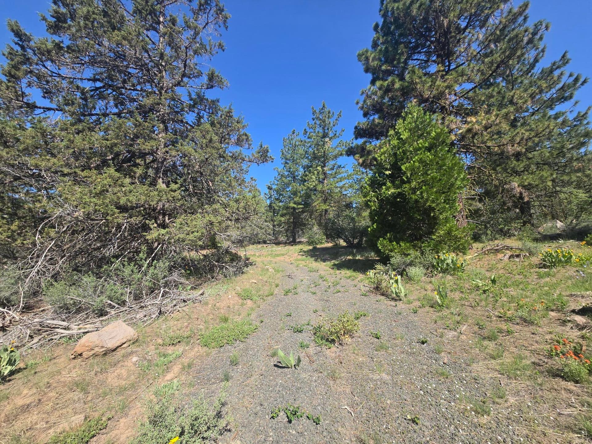 Lot. Photo 3 of 16, Meadow Lark Drive Unit Lot 12, Bonanza, OR 97623