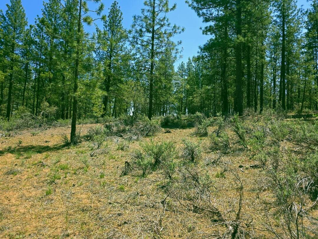 20250604_125658. Photo 5 of 10, 0 Elde Street Unit 20, Chiloquin, OR 97624